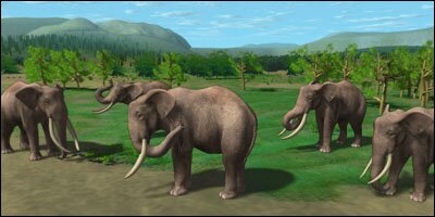 лесные слоны