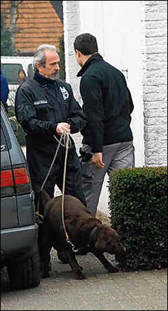 полицейская собака нашла останки в доме, фото: www.nieuwsblad.be 