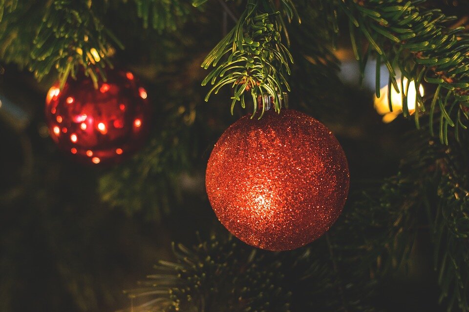 22 декабря открываются новогодние базары: в этом году елки будут стоить от 10 до 30 рублей