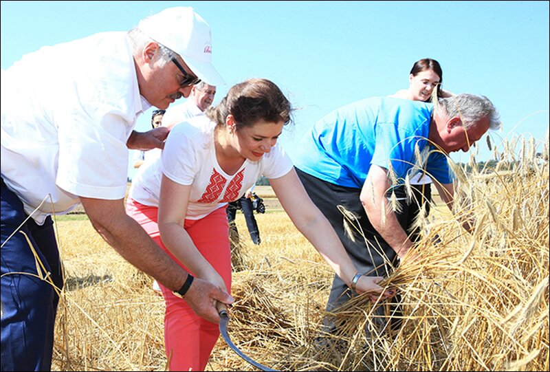 Лукашенко доложили об уборке урожая