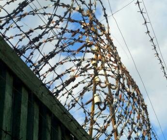 Голодовка заключенных в Жодино. МВД опровергает