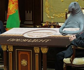 Хроники заБеларусь. «Президент» слабительного действия