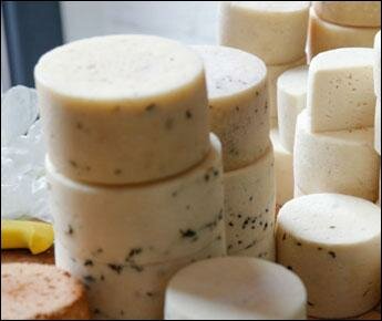 Туровские молочники хотят выпускать в три раза больше итальянских сыров