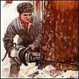 Беларусь-1945. Лесорубы женского рода