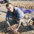 Безработные получают 120 тысяч в день за уборку овощей в поле 