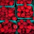 В Пружанском районе могут создать плодово-ягодный кластер