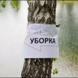 Чистый берег. Мозырские активисты проведут уборку на Припяти 