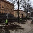 Щепки летят. Коммунальщики валят деревья в центре Минска