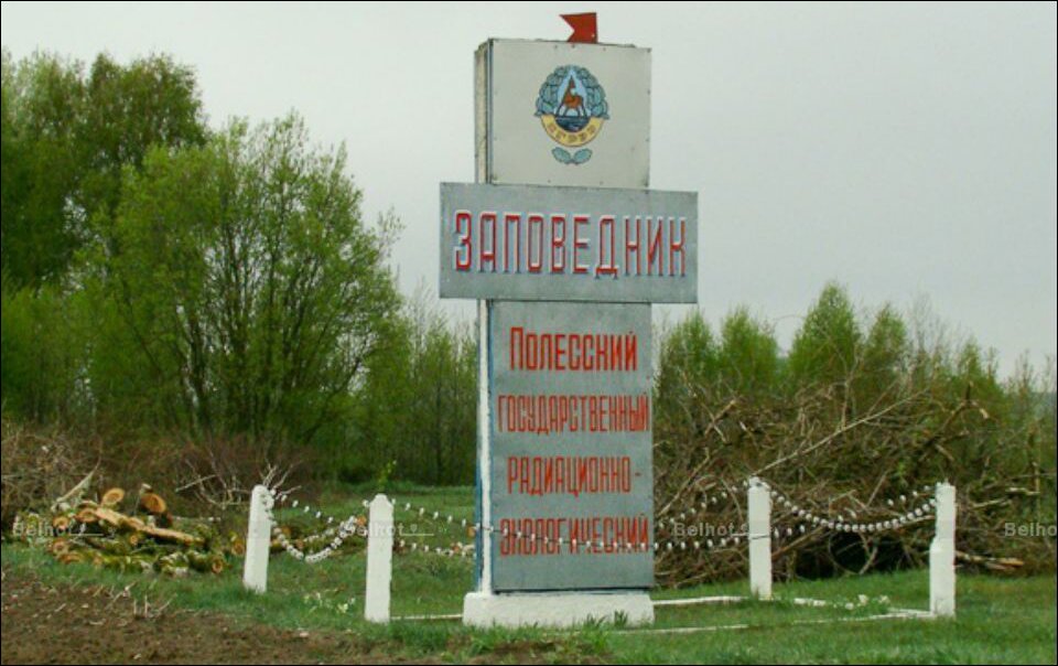 Лукашенко посещает Хойникский район