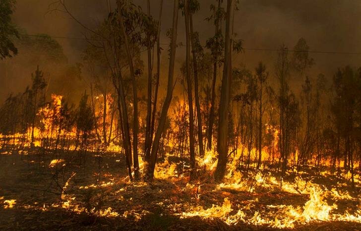 Португалию сжигают пожары