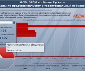ФПБ, БРСМ и «Белая Русь» — лидеры по представительству в территориальных избиркомах