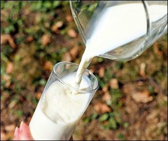 Крупной китайской компании предложат купить белорусские молочные заводы