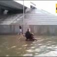 Собака выталкивает из воды коляску с хозяином-инвалидом