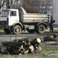 На Юбилейной площади в Минске вырубают деревья