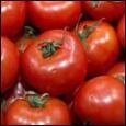 Накормит ли Беларусь Россию турецкими помидорами?