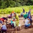 Археологи продолжат исследовать древнее поселение на Подвинье