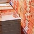 Белорусские «Бонни и Клайд» ограбили московский банк на 4,5 млн долларов