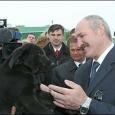 Кто живет в домашнем «зоопарке» президента Беларуси