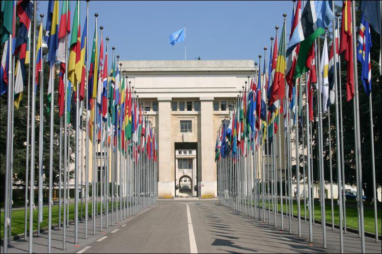 Совет ООН по правам человека продлил на год мандат спецдокладчика по ситуации в Беларуси